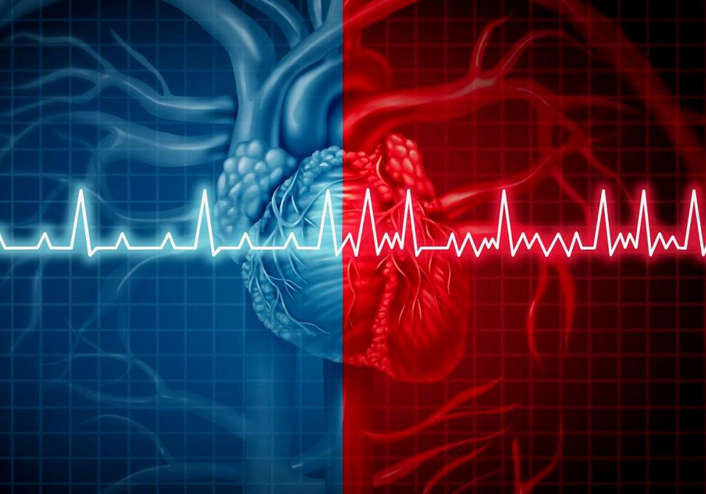 image-article-dotor7