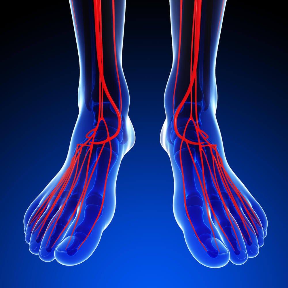 peripheral-arterial-disease-testing-podiatrist-foot-surgeon-dr-kales-hudson-bayonet-point-florida