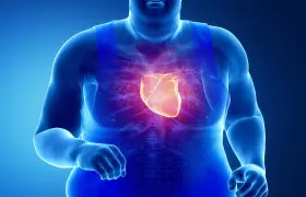 چاقی و اضافه‌وزن