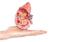 نفروپاتی دیابتی چیست؟