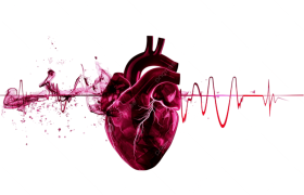 تپش قلب چیست؟